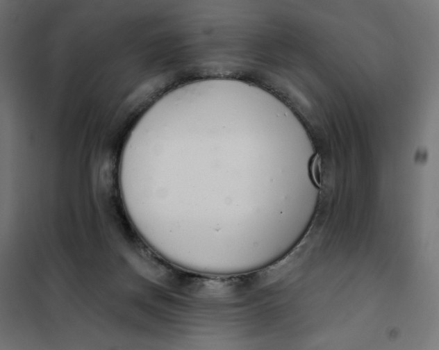 X0000101400166200807281010