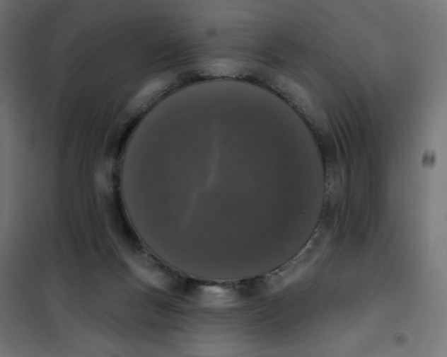 X0000101400167200807281010