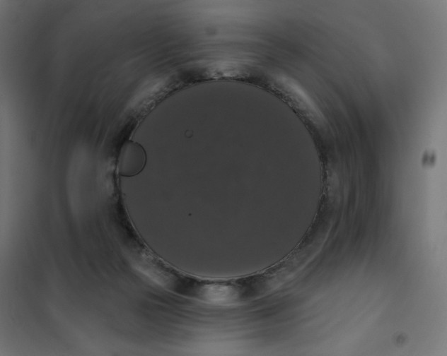 X0000101400169200807281011