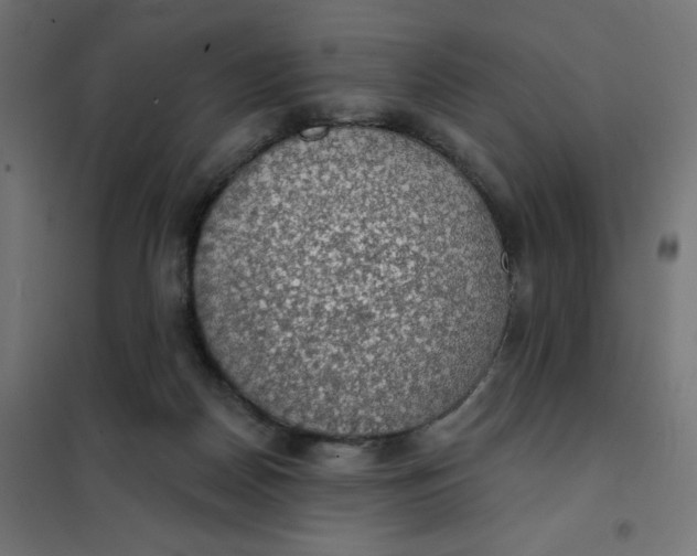 X0000101400170200807281011