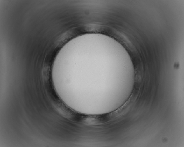 X0000101400171200807281011