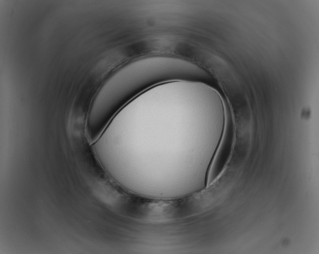 X0000101400172200807281011