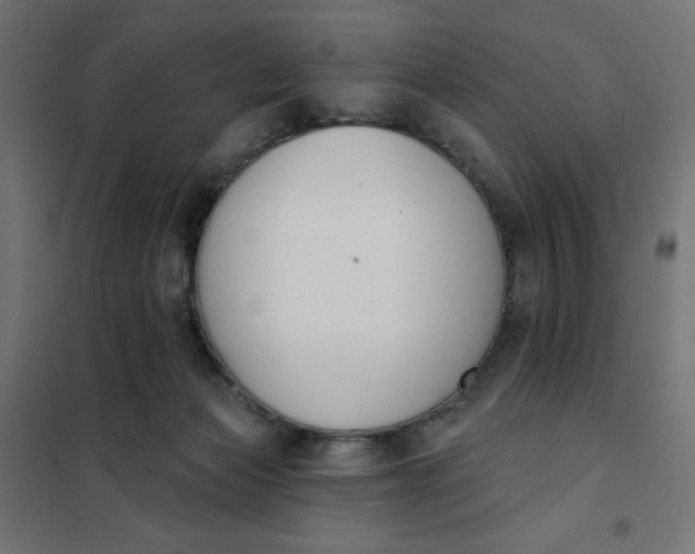 X0000101400173200807281011