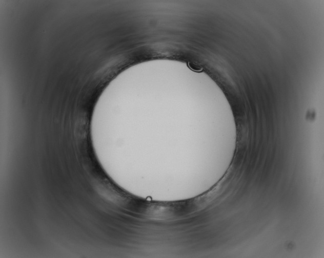 X0000101400174200807281011