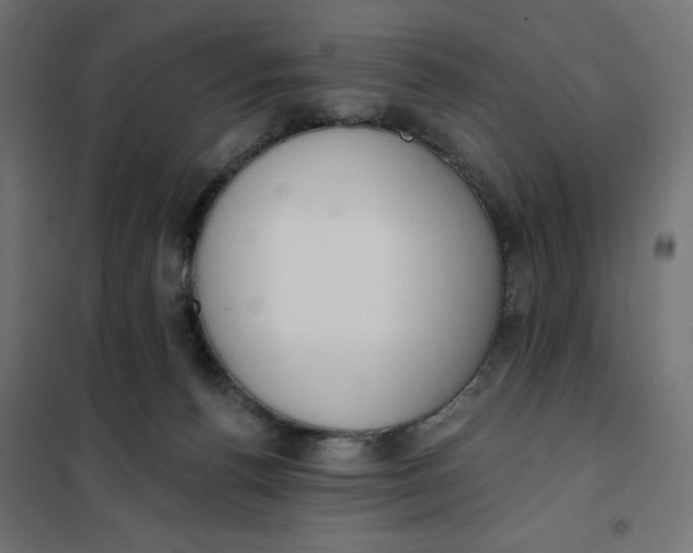 X0000101400176200807281011