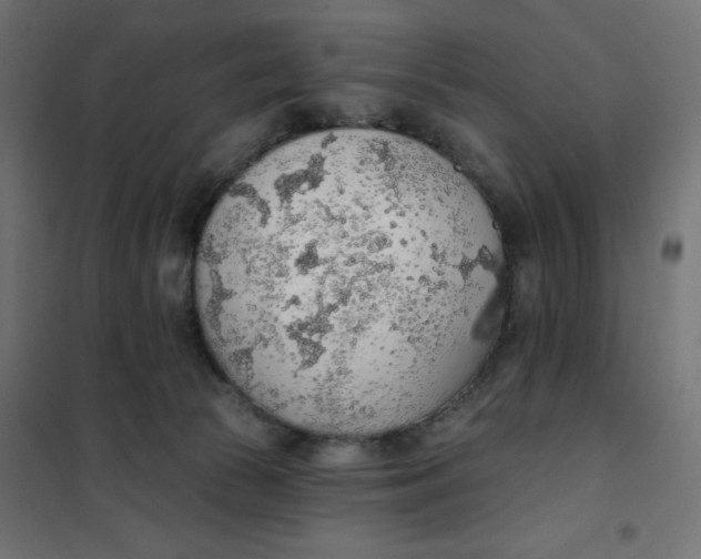 X0000101400177200807281011