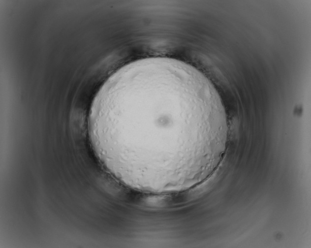 X0000101400178200807281011