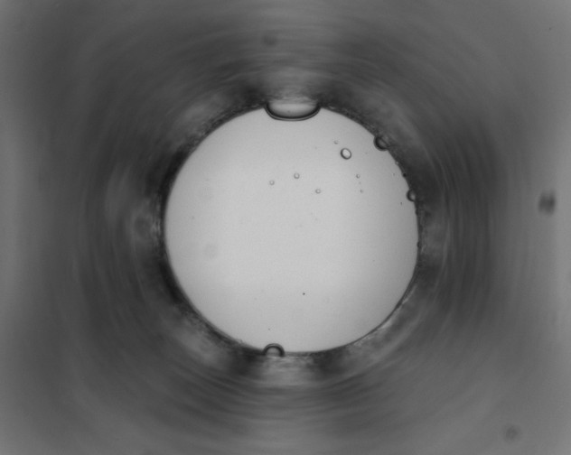 X0000101400179200807281011