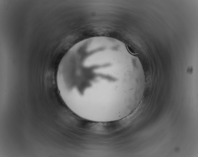 X0000101400182200807281011