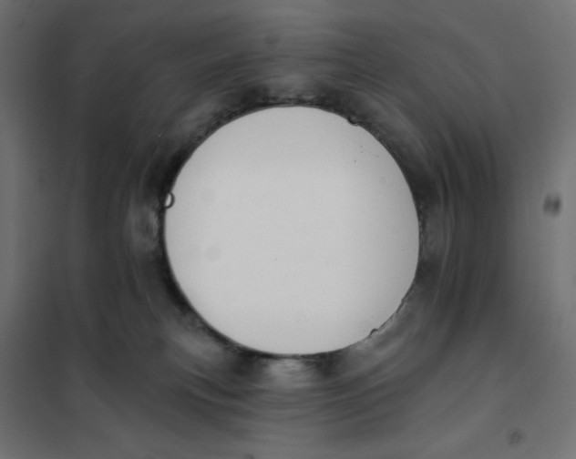 X0000101400183200807281011