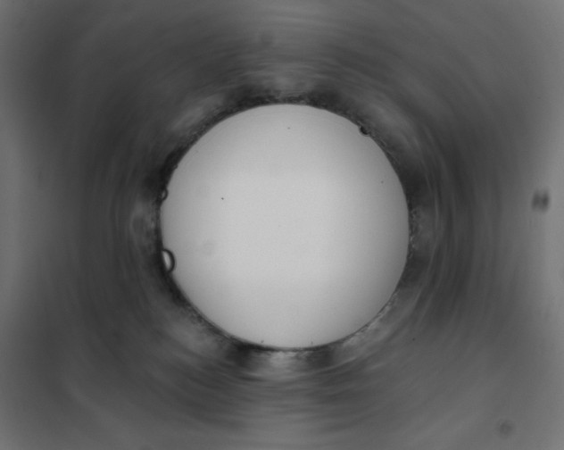 X0000101400184200807281011