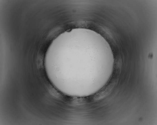 X0000101400185200807281011