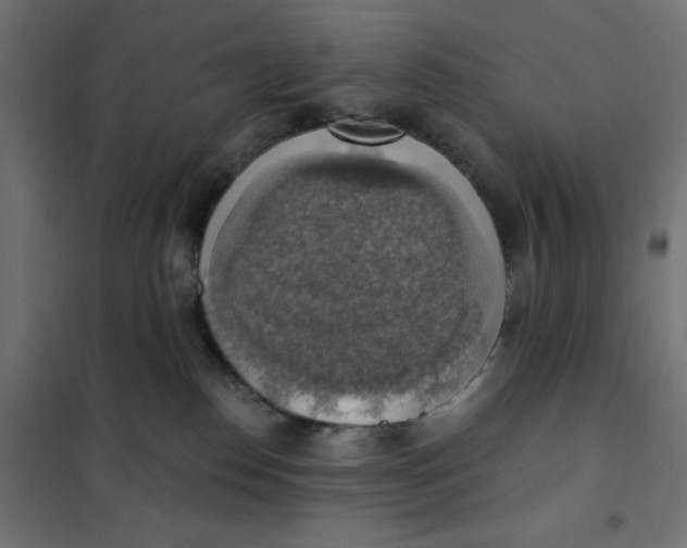 X0000101400186200807281011