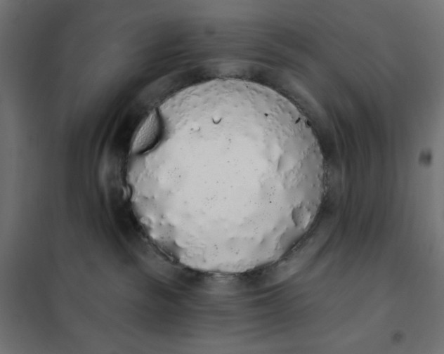 X0000101400189200807281011