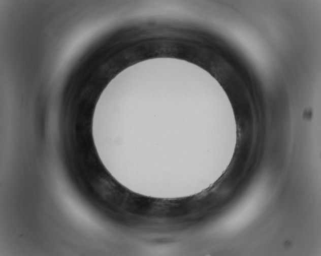 X0000101400190200807281011