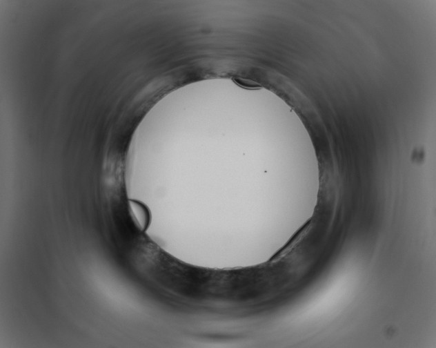 X0000101400191200807281011