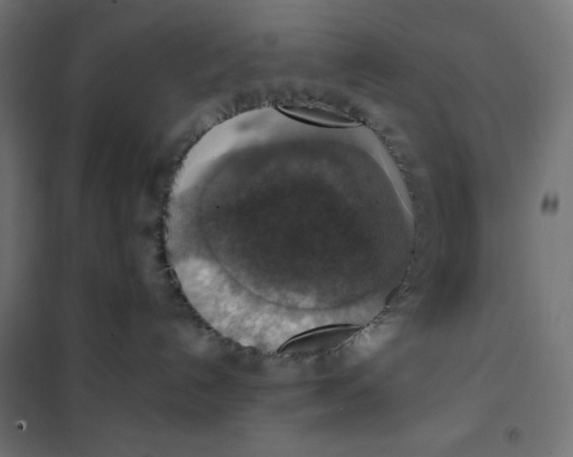 X0000101400192200807281011