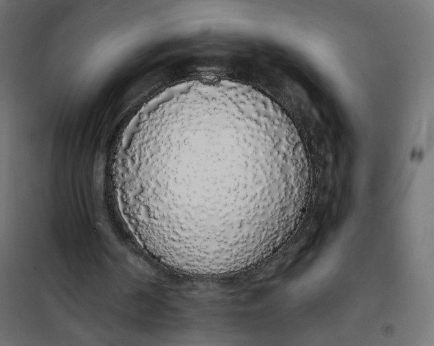 X0000101400194200807281010