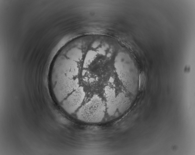 X0000101400195200807281010