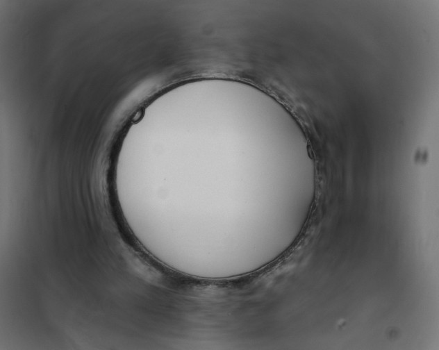 X0000101400197200807281010