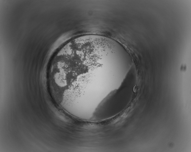 X0000101400198200807281010