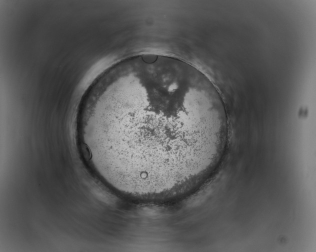 X0000101400199200807281010