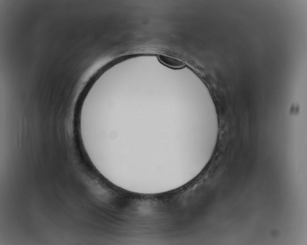 X0000101400200200807281010