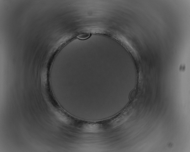 X0000101400202200807281010