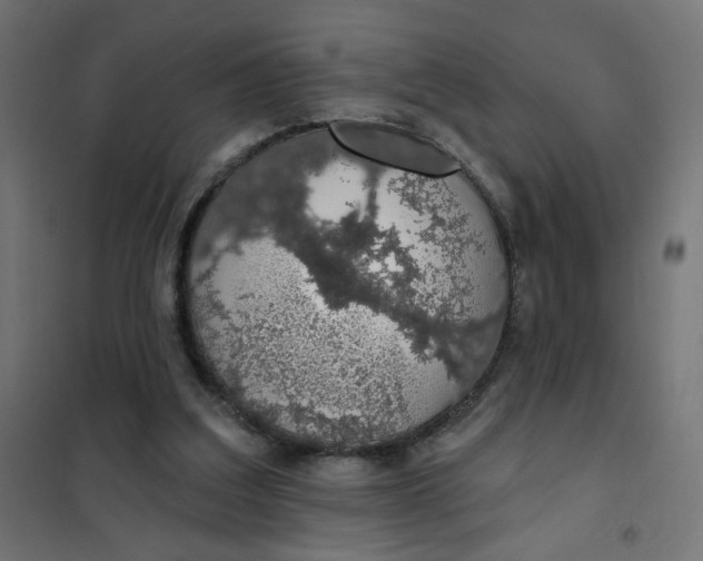 X0000101400203200807281010