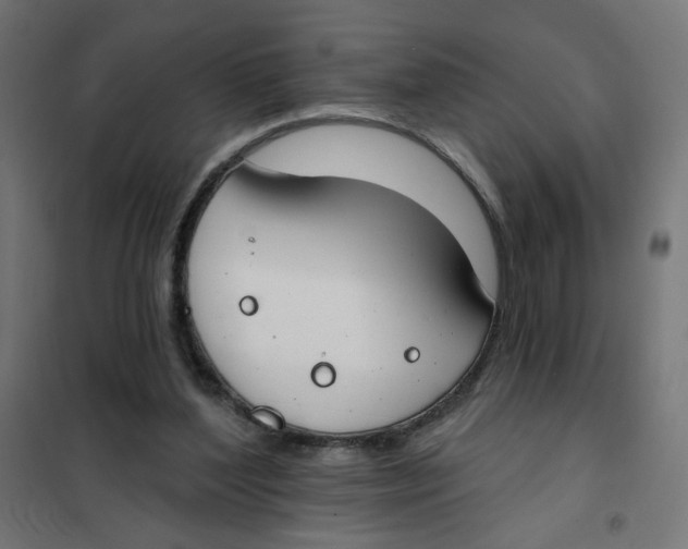 X0000101400204200807281010