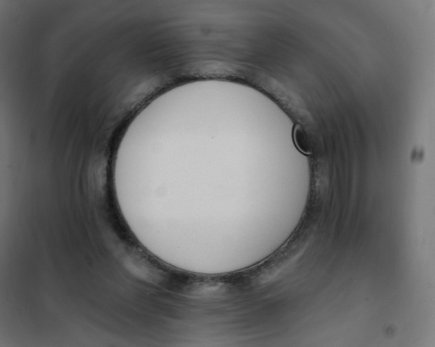 X0000101400206200807281010