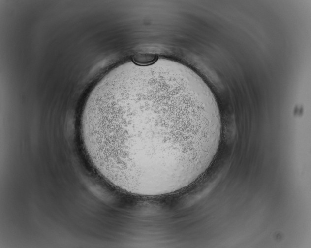 X0000101400207200807281010