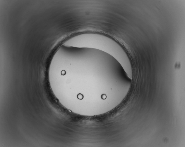 X0000101400208200807281010