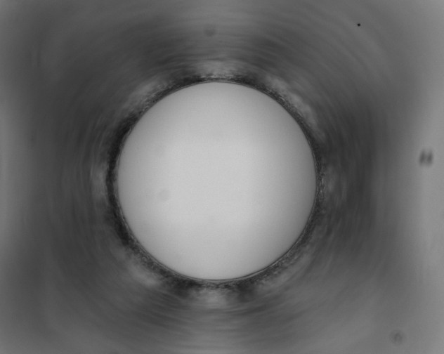 X0000101400209200807281010