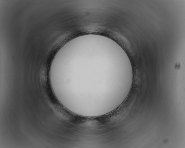 X0000101400210200807281010