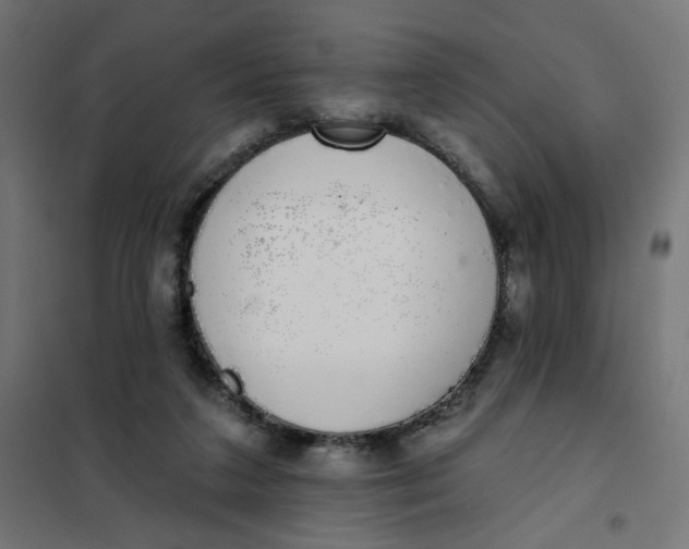 X0000101400211200807281010