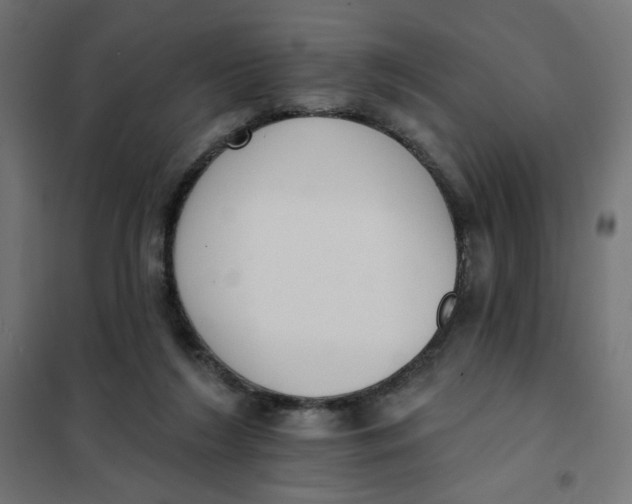 X0000101400212200807281010