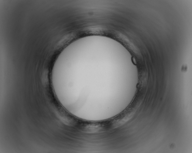 X0000101400213200807281010