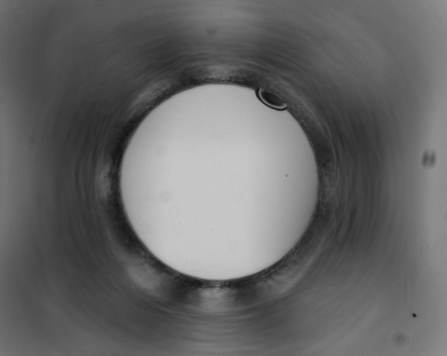 X0000101400216200807281010