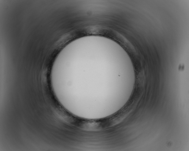 X0000101400217200807281010