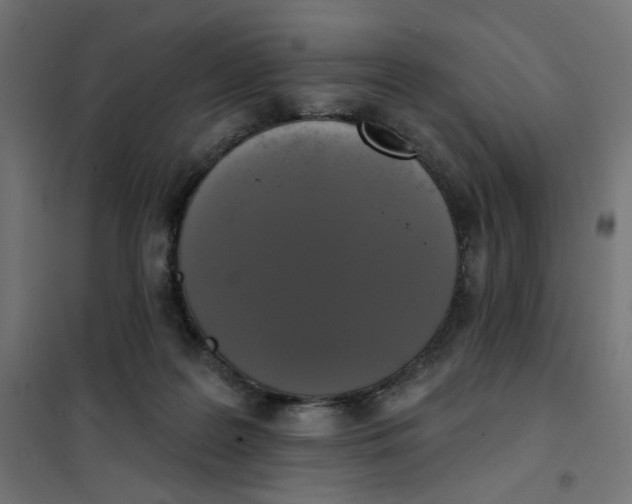 X0000101400219200807281010