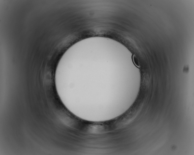 X0000101400220200807281010