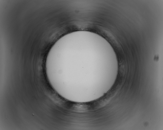 X0000101400221200807281010