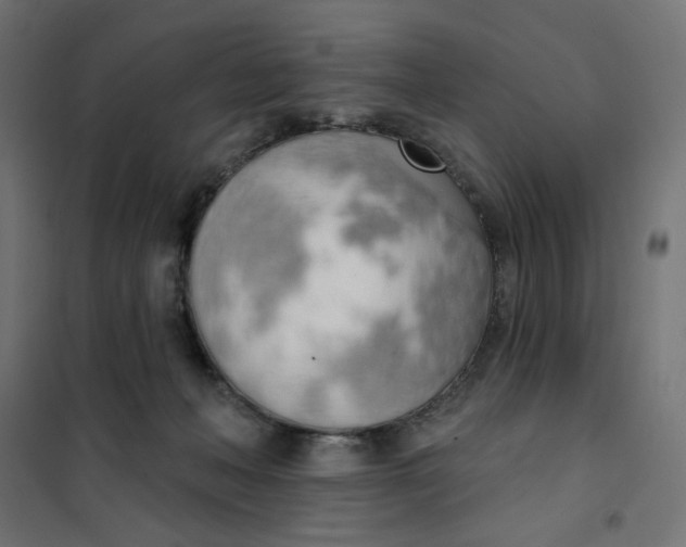 X0000101400222200807281010