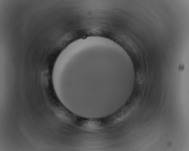 X0000101400223200807281010