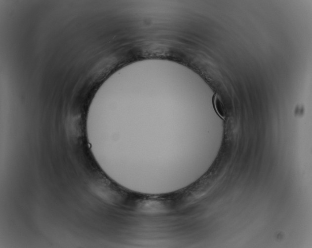 X0000101400224200807281010