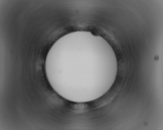 X0000101400225200807281010