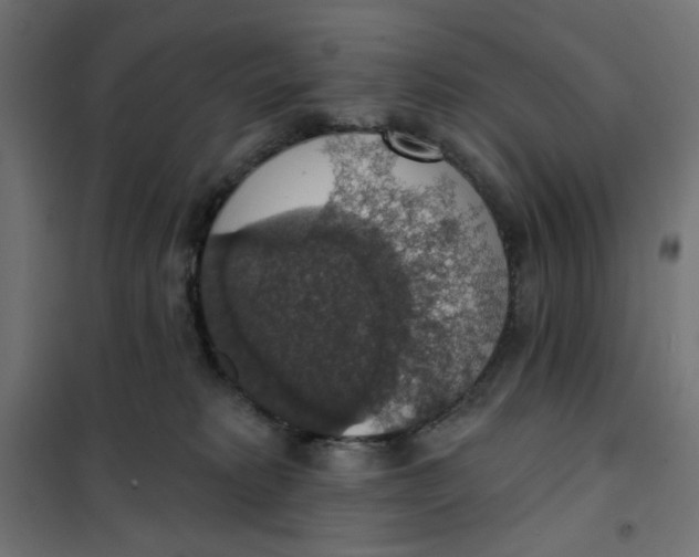 X0000101400229200807281010