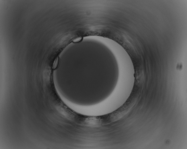 X0000101400231200807281010