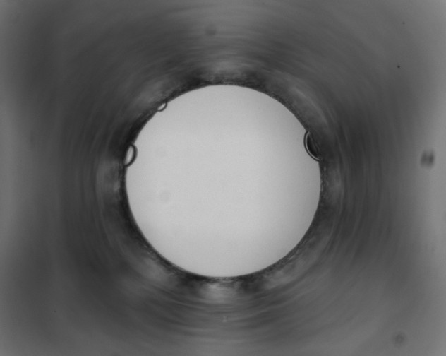 X0000101400232200807281010